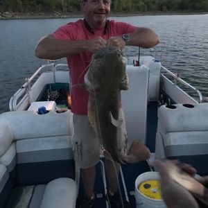 Meet your Posher, Terry